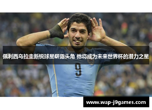 佩利西乌拉圭新锐球星崭露头角 他将成为未来世界杯的潜力之星