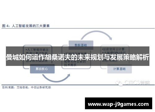 曼城如何运作胡桑诺夫的未来规划与发展策略解析
