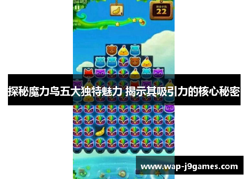 探秘魔力鸟五大独特魅力 揭示其吸引力的核心秘密